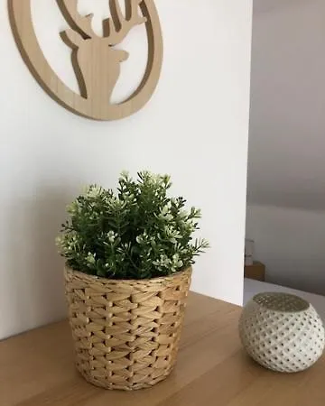 Fewo_ortszeit Appartamento Haintchen